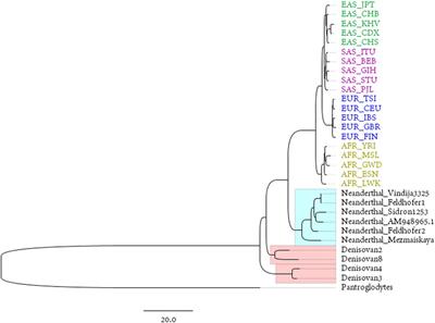 Full Chromosomal Relationships Between Populations and the Origin of Humans